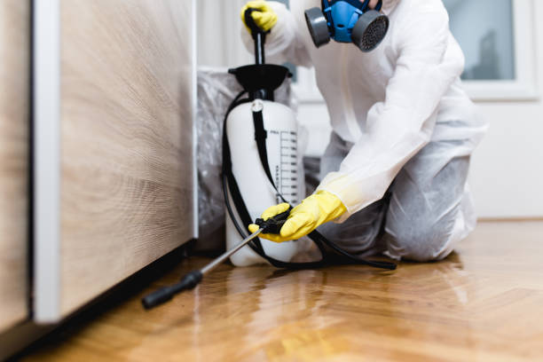 Best Affordable Pest Control Services  in Berwyn Heights, MD