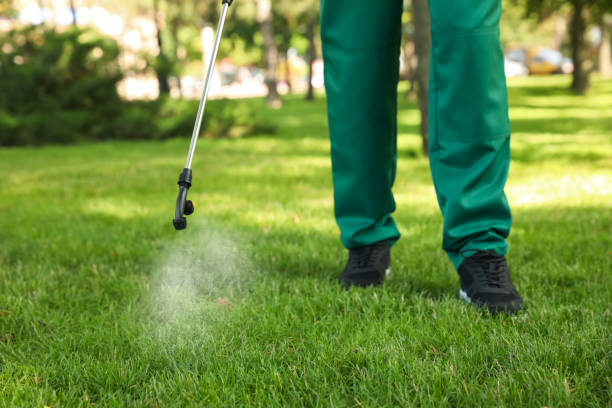 Best Best Pest Control Companies  in Berwyn Heights, MD