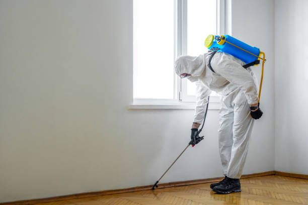 Best Wildlife Control Services  in Berwyn Heights, MD