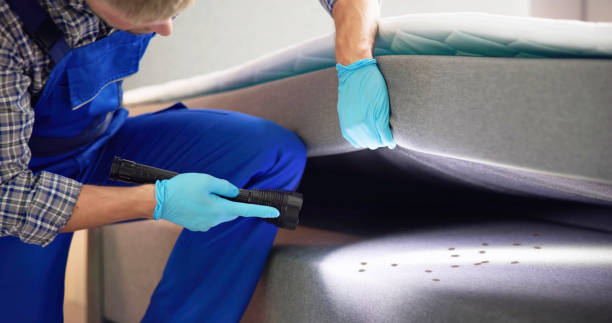 Reliable Berwyn Heights, MD Pest Control Solutions