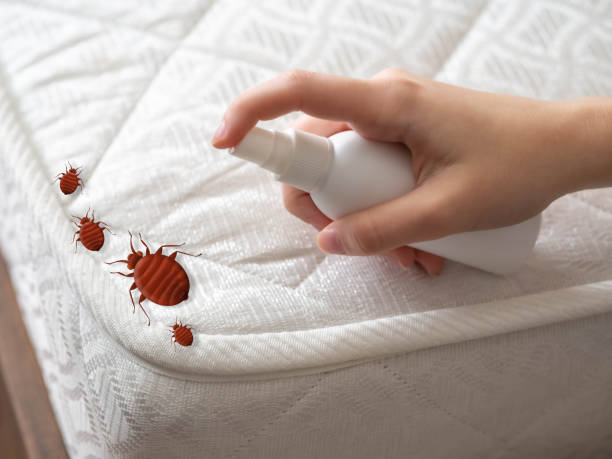 Best Pest Control Treatment  in Berwyn Heights, MD
