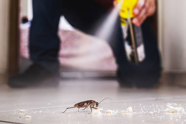 Best Residential Pest Control  in Berwyn Heights, MD