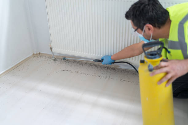 Best Commercial Pest Control Services  in Berwyn Heights, MD