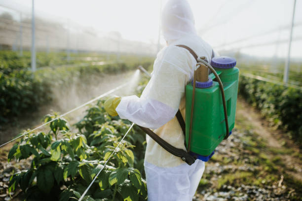 Best Ant Control Services  in Berwyn Heights, MD